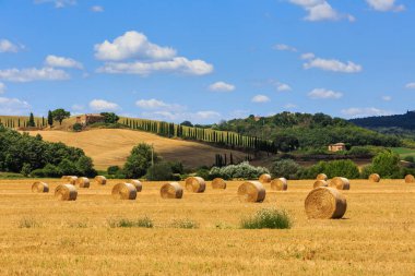 Saman balya Toskana bölgesindeki Siena İtalya alanlarla görünümünü