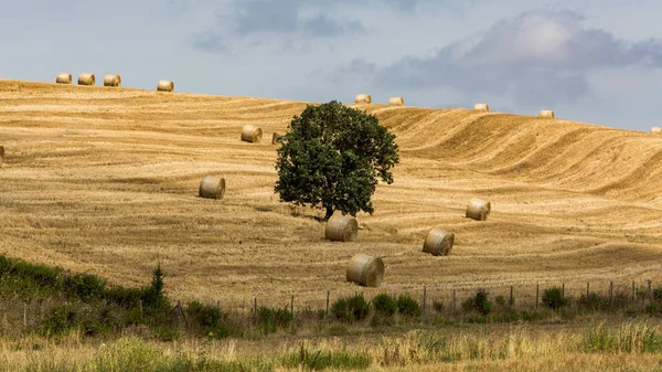 Vista de los campos y colinas toscanas en la región de Maremma en Italia — Foto de Stock