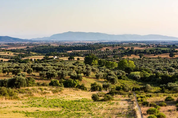 Görünümü Maremma bölgesinin İtalya tepelerde ve Toskana alanları