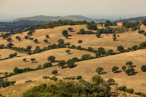 Veduta dei campi e delle colline toscane in Maremma — Foto Stock