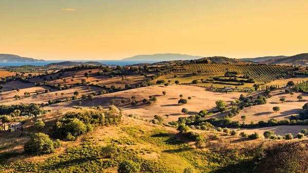 Vista de un campo toscano y colinas en la región de Maremma, Italia — Foto de Stock