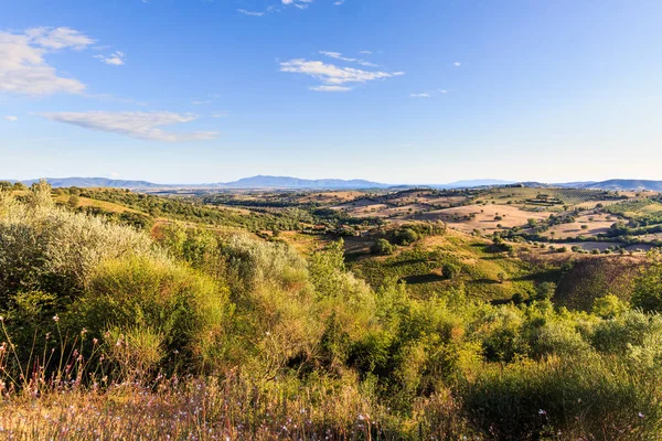 Vista de un campo toscano y colinas en la región de Maremma — Foto de Stock