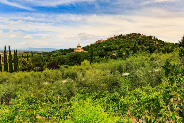 Montepulciano Siena İtalya bölgesinin