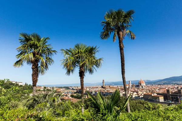 Vista a la ciudad de Florencia desde la Plaza Michelangelo, Italia — Foto de Stock