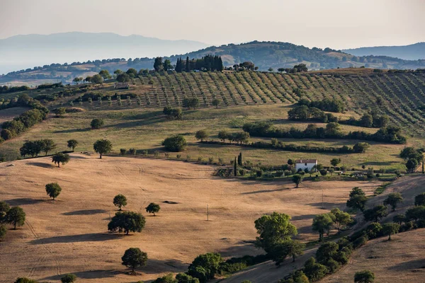 Vista de los campos y colinas toscanas en la región de Maremma en verano en Italia — Foto de Stock