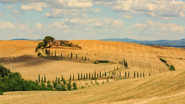 Blick auf ein Haus mit Zypressen auf einem Feld in der Toskana, Sommer, Italien — Stockfoto