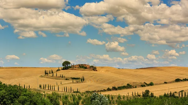 Vista de casa con cipreses en un campo en la región toscana, verano, Italia — Foto de Stock