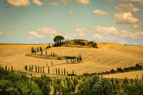 Vista de casa con cipreses en un campo en la región toscana, Italia — Foto de Stock