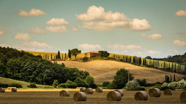 Vista de campos con fardos de heno en la región toscana Siena en Italia — Foto de Stock