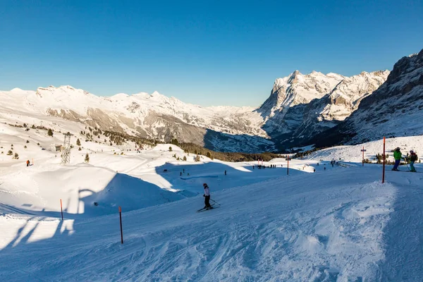 Blick auf das Skigebiet jungfrau wengen in der Schweiz — Stockfoto