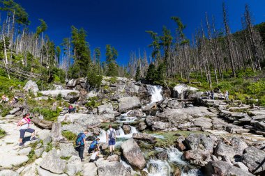 Doğa yüksek Tatras Teryho Chata için yürüyüş rota boyunca