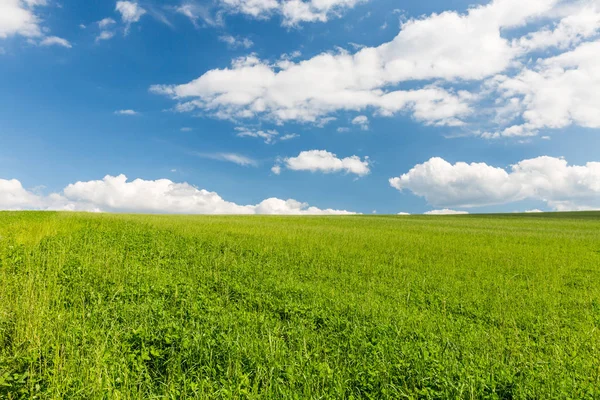 Natural clean meadow and sky with white clouds in Slovakia — Stock Photo, Image