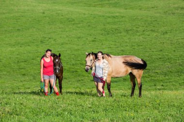 Two girls with horses on a field with mountains in Slovakia clipart