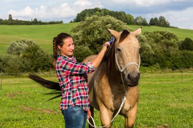 Slovakya çayırda at nalı saç fırçalama kız