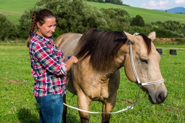 Slovakya çayırda at nalı saç fırçalama kız