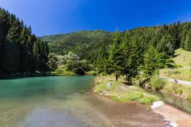 Cutkovska Dolina Valley yakınındaki Ruzomberok Slovakya
