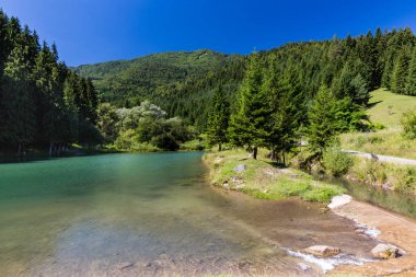 Cutkovska Dolina Valley yakınındaki Ruzomberok Slovakya