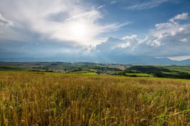 Slovakya'da bir alanın üzerinde yaz aylarında fırtınalı bulutlar