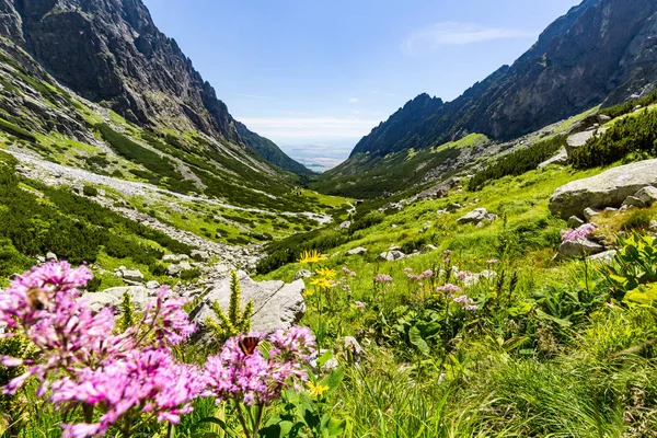 Nature along the hiking route to the Teryho Chata in the High Tatras — Stock Photo, Image