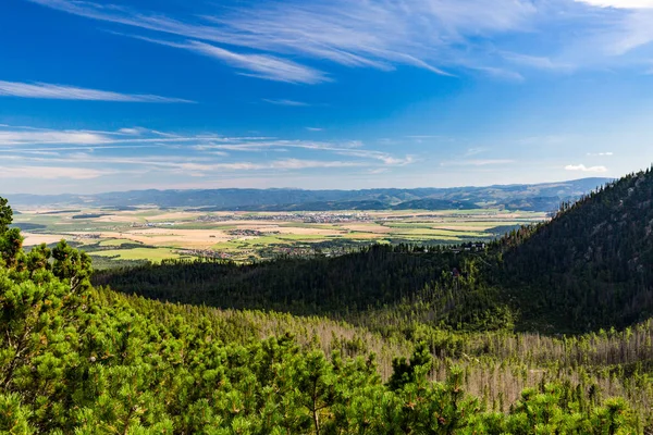 Naturaleza a lo largo de la ruta de senderismo al Teryho Chata en los Altos Tatras — Foto de Stock