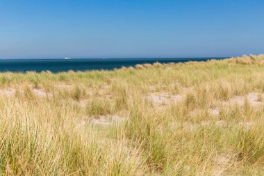 Yapay Maasvlaktestrand beach Europoort Rotterdam için inşa