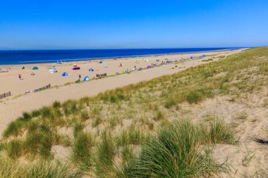 Yapay Maasvlaktestrand beach Europoort Rotterdam için inşa