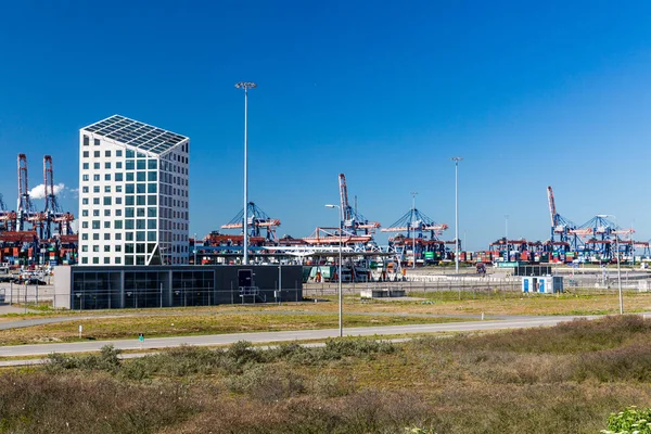 Yapay Maasvlaktestrand beach Europoort Rotterdam, Hollanda için inşa — Stok fotoğraf