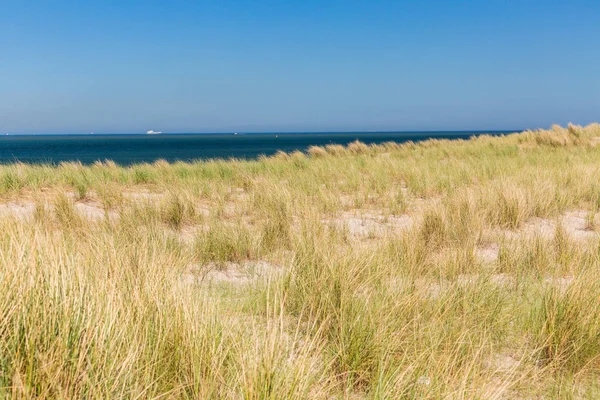 Yapay Maasvlaktestrand beach Europoort Rotterdam için inşa
