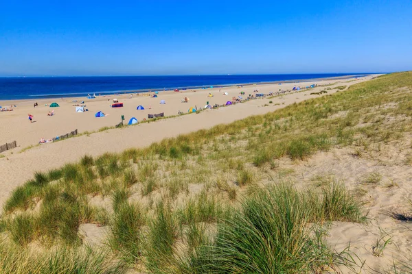 Kunstmatige Maasvlaktestrand strand gebouwd voor de Europoort-Rotterdam — Stockfoto