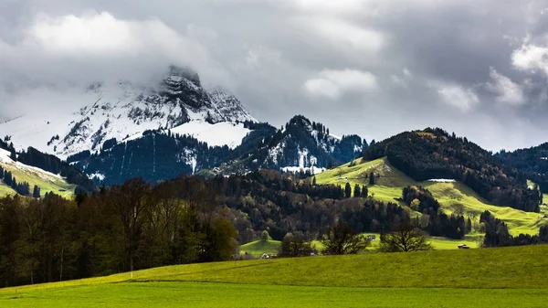 Wiese vor dem grauen Dorf in der Schweiz — Stockfoto