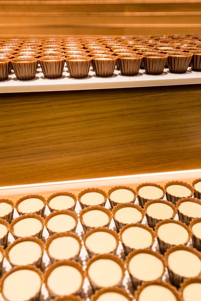 Роскошные шоколадные пралине на столе для дегустации — стоковое фото