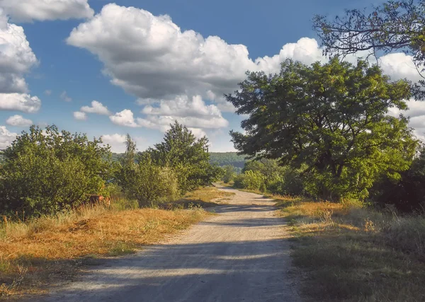  doğa summerlandscape ağaçlar ve yol