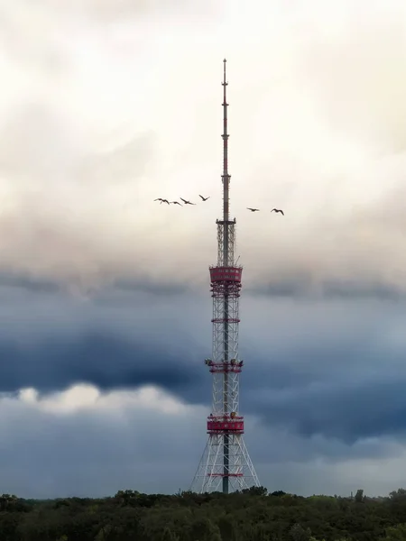 自然、ビジネスの中のテレビ塔 — ストック写真