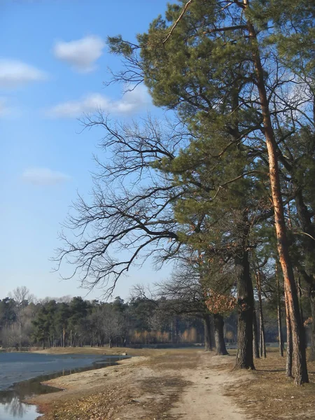 Bahar park lake mavi gökyüzü ile
