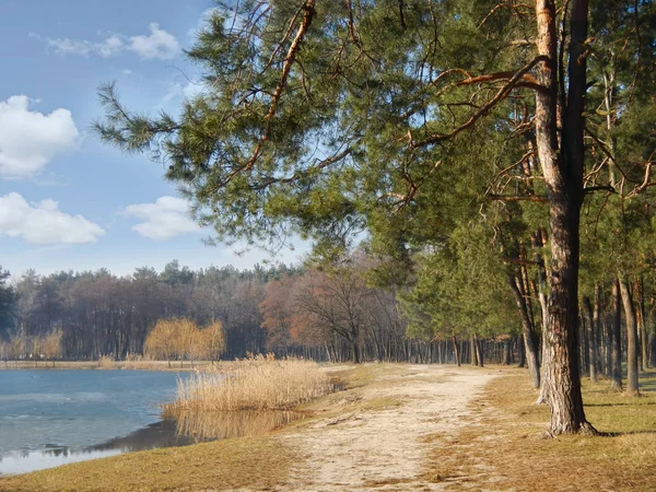 Bahar park lake mavi gökyüzü ile