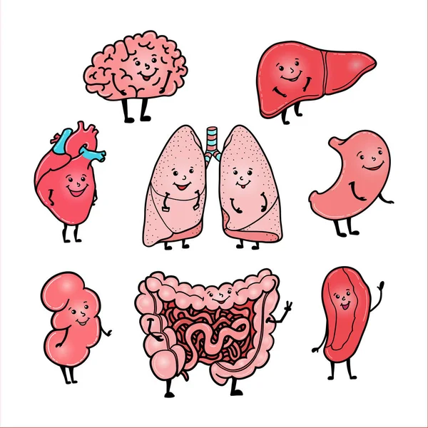 有趣的人体器官，与可爱的笑脸一套 — 图库矢量图片