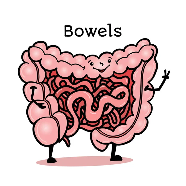 Guts humains mignons et drôles, intestins, intestins caractère — Image vectorielle