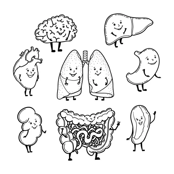 Set di organi umani divertenti delineati con facce sorridenti carine — Vettoriale Stock