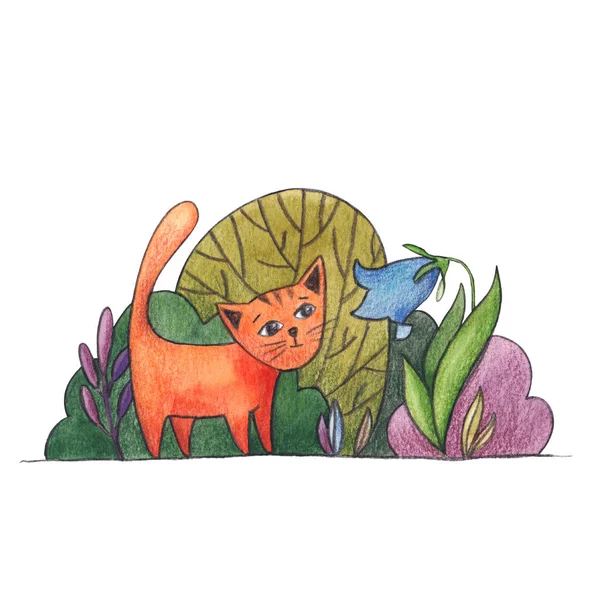 猫と庭、水彩イラストの花 — ストック写真