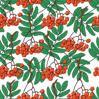 Kırmızı üvez meyveleri ve yaprakları ile Seamless Modeli