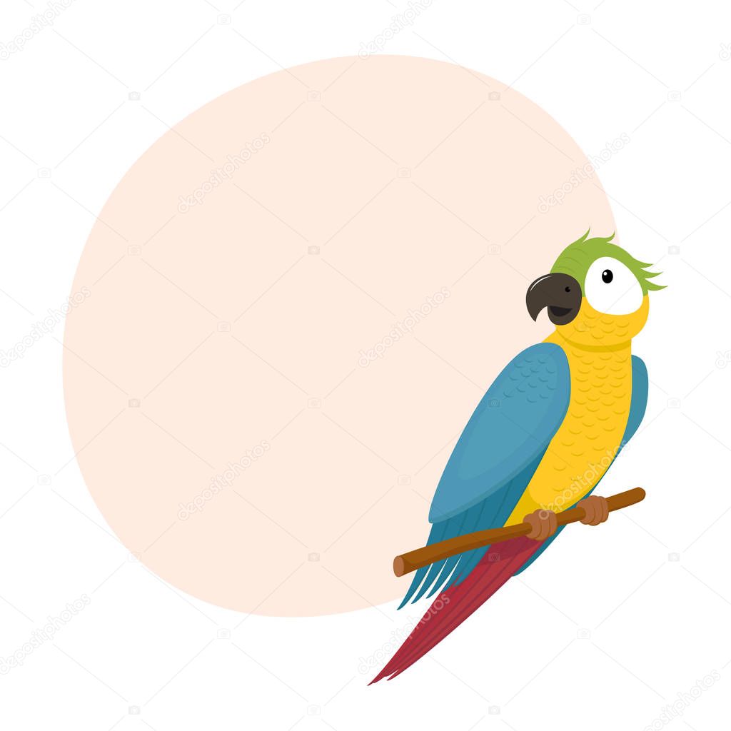 Macaw, ara parrot on tree branch, place for text