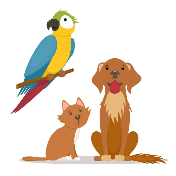Domácí mazlíčci - kočka, pes labrador a ara, ARA papoušek — Stockový vektor