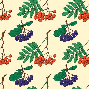 Kırmızı ve siyah üvez meyveleri ile Seamless Modeli