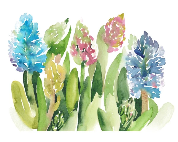ヒヤシンスの花の水彩スケッチ イラスト — ストック写真