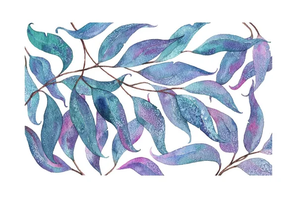 Lukisan cat air abstrak, daun eukaliptus — Stok Foto