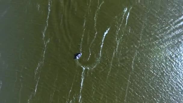 Widok z lotu ptaka pływaka na rzece — Wideo stockowe