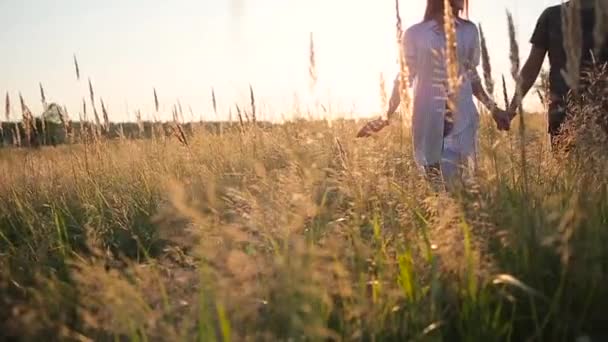 Pareja caminando de la mano en el campo de hierba — Vídeos de Stock