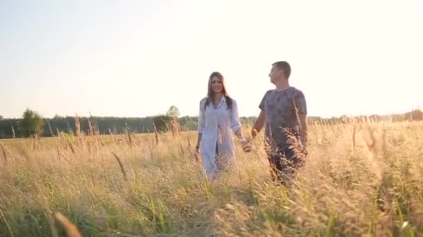 Paar wandelen bedrijf handen in het grasveld — Stockvideo