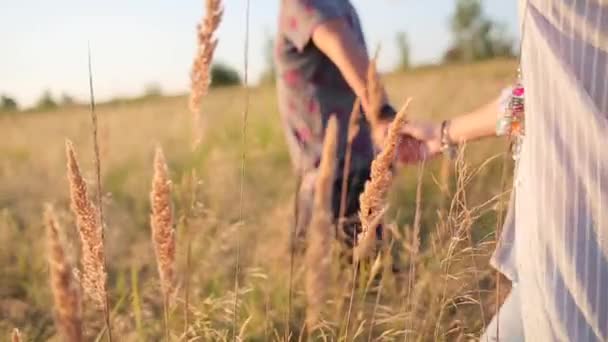Пара, идущая, держась за руки на траве — стоковое видео