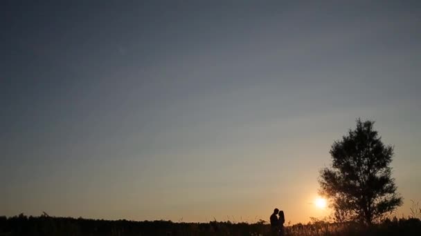 Pareja permanecer en el campo de hierba al atardecer — Vídeos de Stock